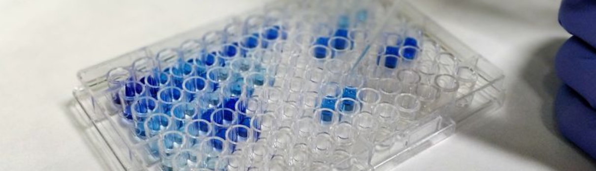 1723508903947098.png 微信截图_20240813082733.png