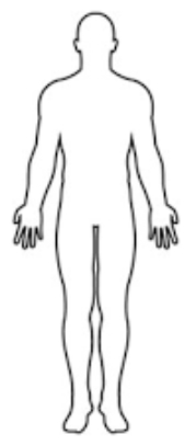 1723509574306592.jpg 1723509574306592.jpg