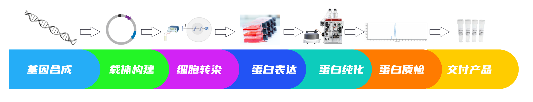 1729729026734732.png 1729729026734732.png