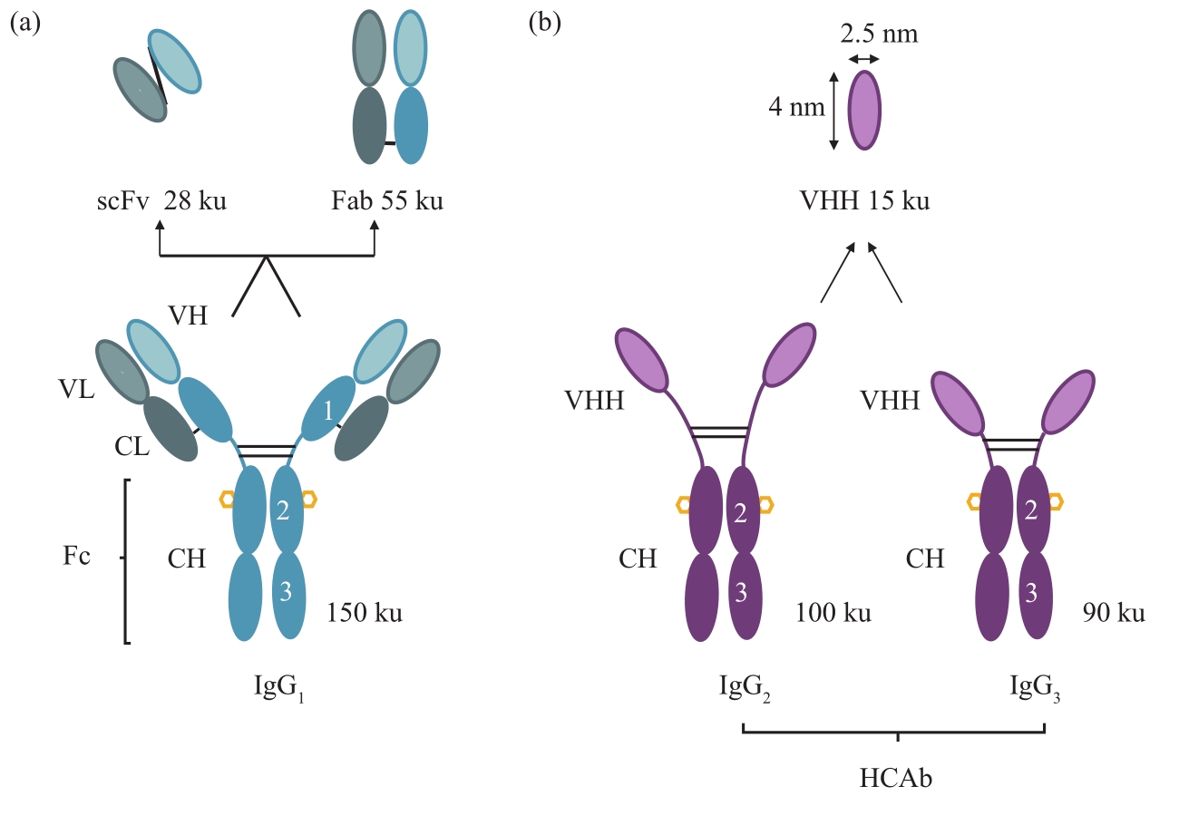 1729816620337247.jpg 1729816620337247.jpg