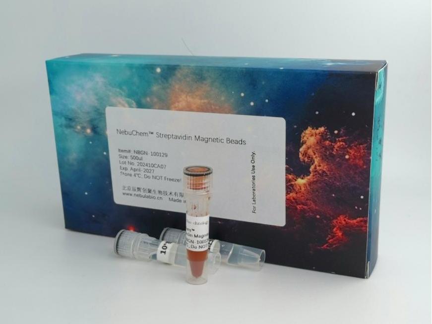 1734578862239496.jpg 1734578862239496.jpg