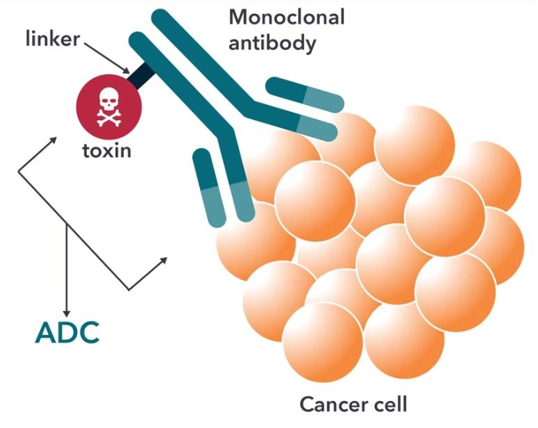 1734960218266839.jpg 1734960218266839.jpg