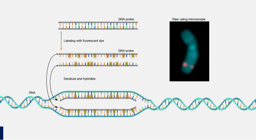 1737604558553256.png image.png