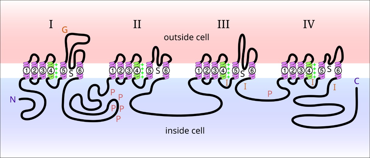 1742265202967050.jpg 1742265202967050.jpg