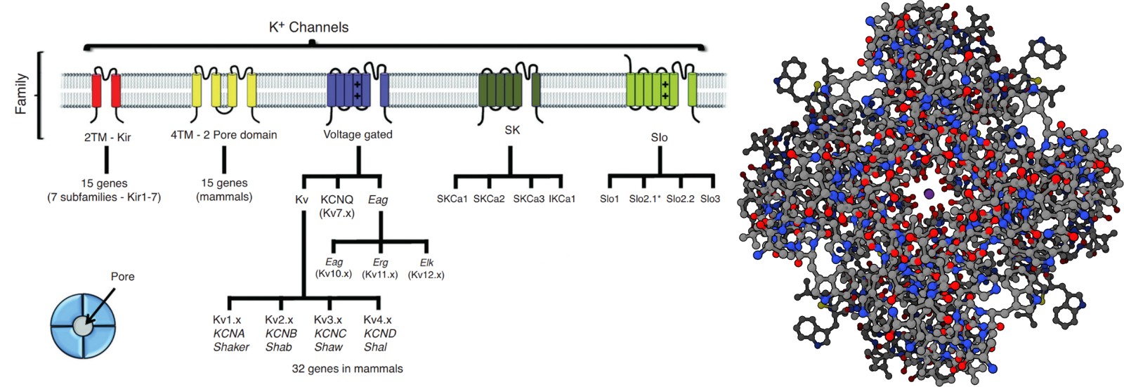 1742265262770751.jpg 1742265262770751.jpg
