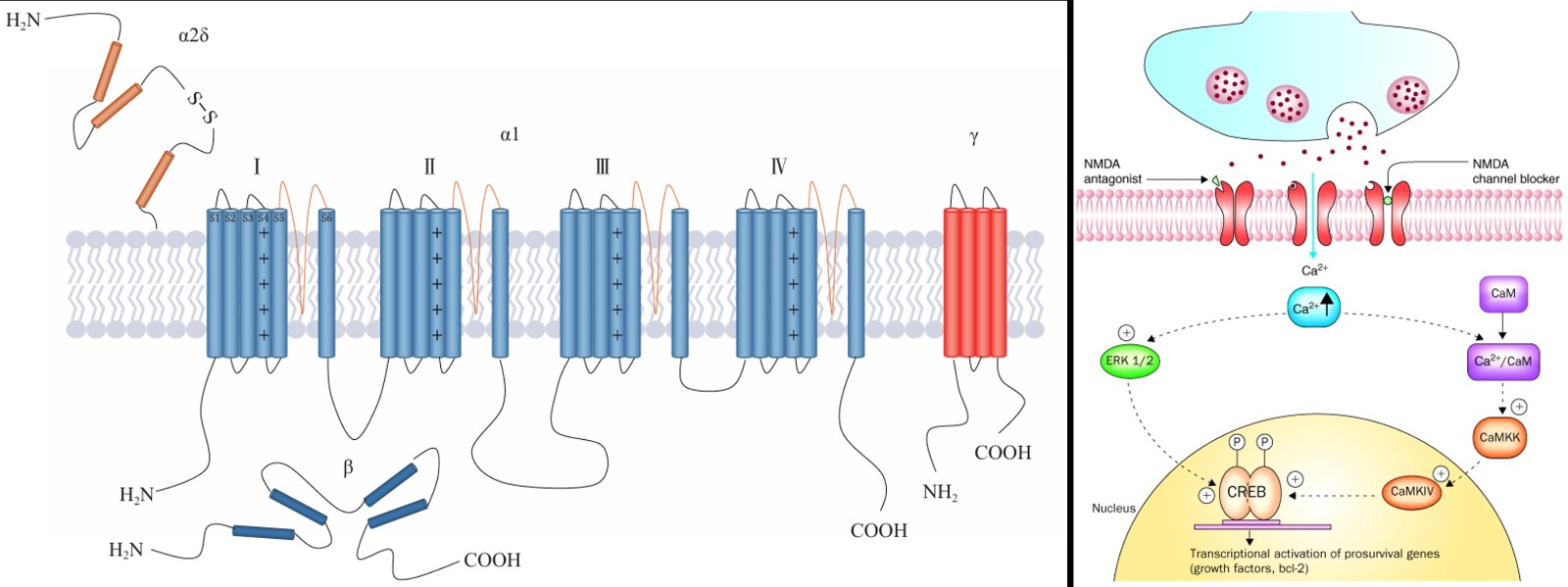 1742265289188728.jpg 1742265289188728.jpg