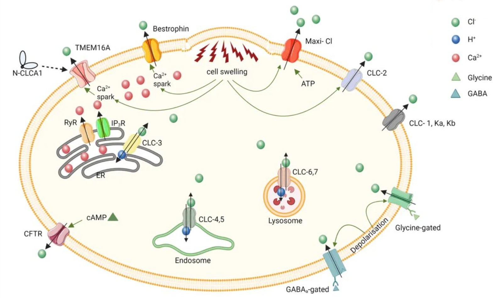 1742265308596913.jpg 1742265308596913.jpg