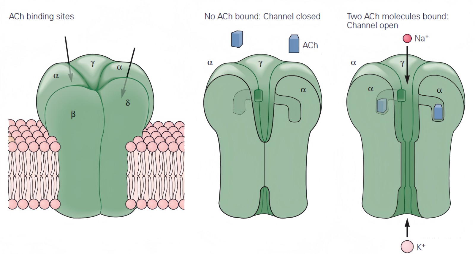 1742265408207702.jpg 1742265408207702.jpg