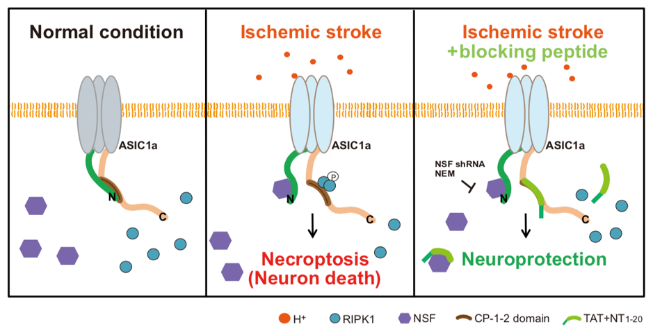 1742265445979653.jpg 1742265445979653.jpg