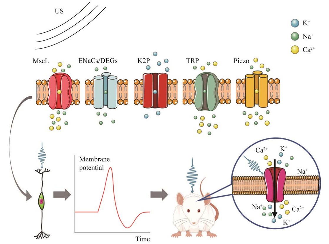 1742265473418012.jpg 1742265473418012.jpg