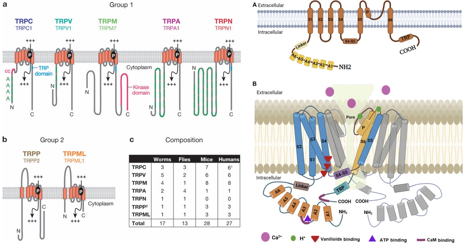 1742265628690981.jpg 1742265628690981.jpg