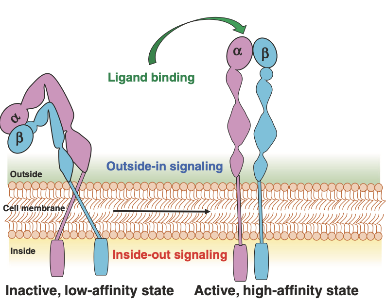 1742267217539429.jpg 1742267217539429.jpg