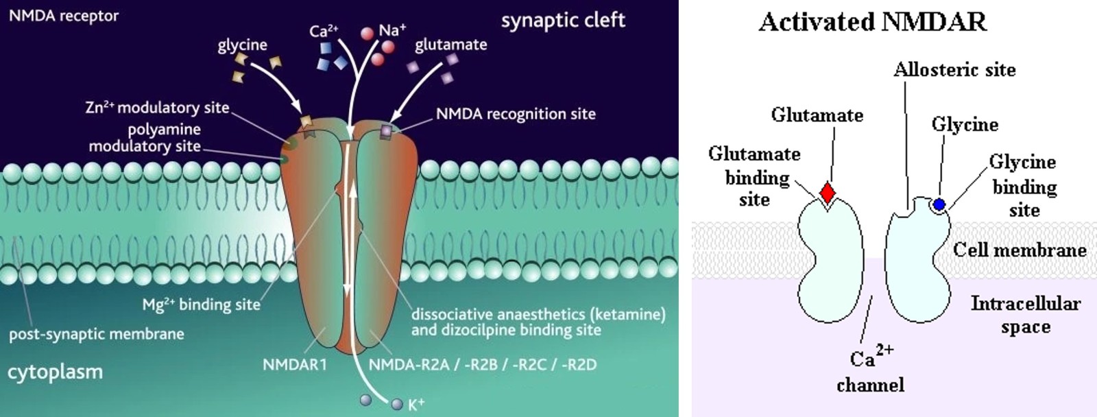 1742267361624984.jpg 1742267361624984.jpg