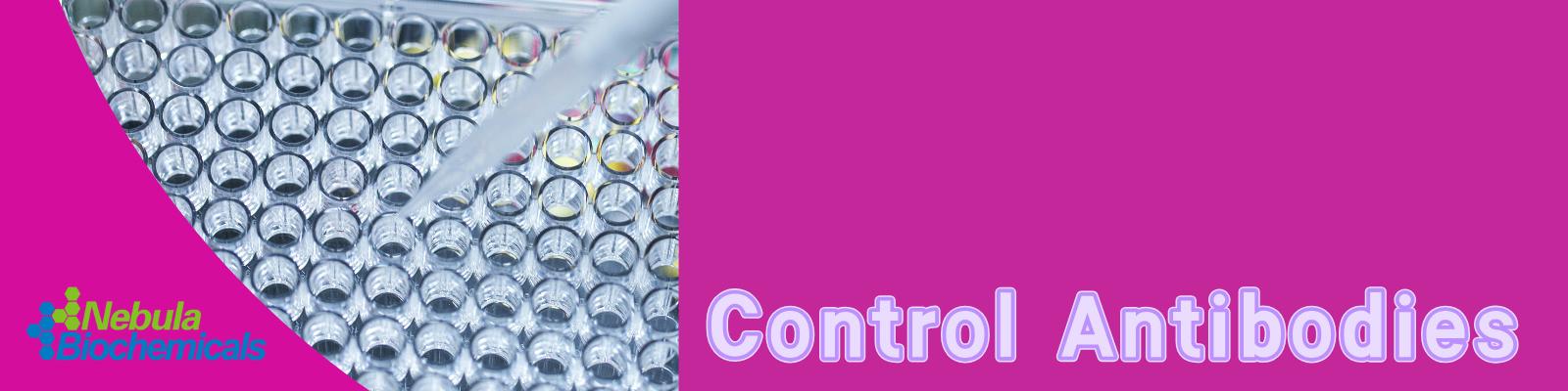 1744763735942843.jpg 对照抗体.jpg