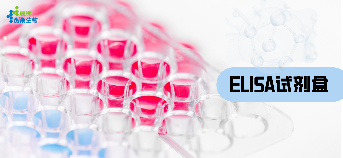 1744856679861560.png 正文图.png