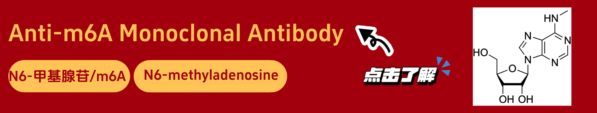 N6-甲基腺苷m6A.png