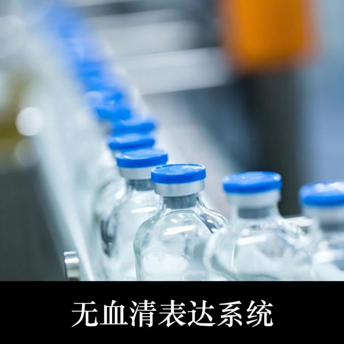 无血清表达系统