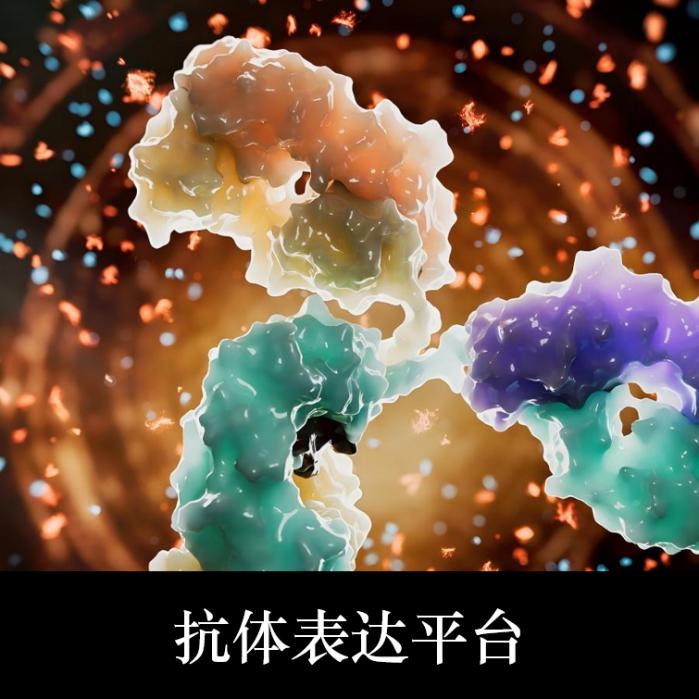 抗体表达平台