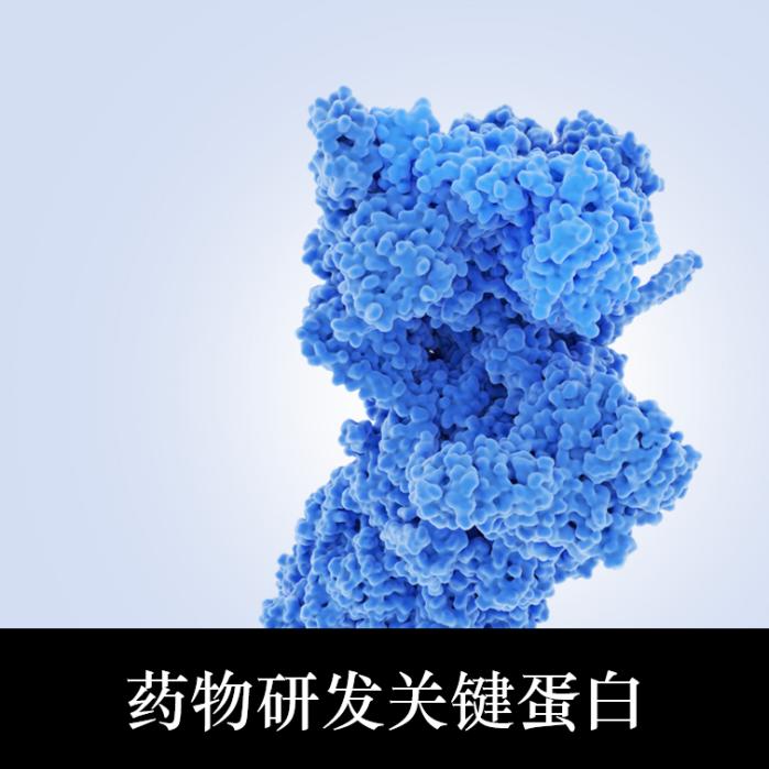 药物研发关键蛋白