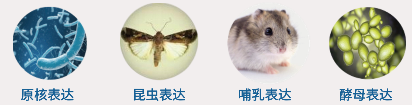 1760519277110989.png ScreenShot_2025-10-15_170730_078.png