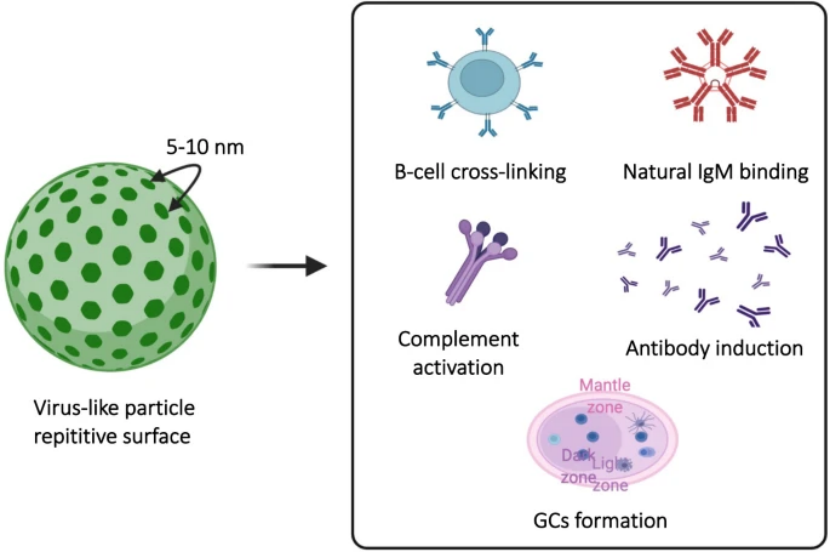 1762486513420647.png 435f1556-aebf-45c3-bd5a-dd3bd744531e.png